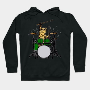 Drummer Cat Music Lover Musician Playing Drums Hoodie